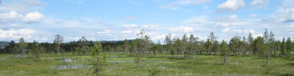 Sapmi